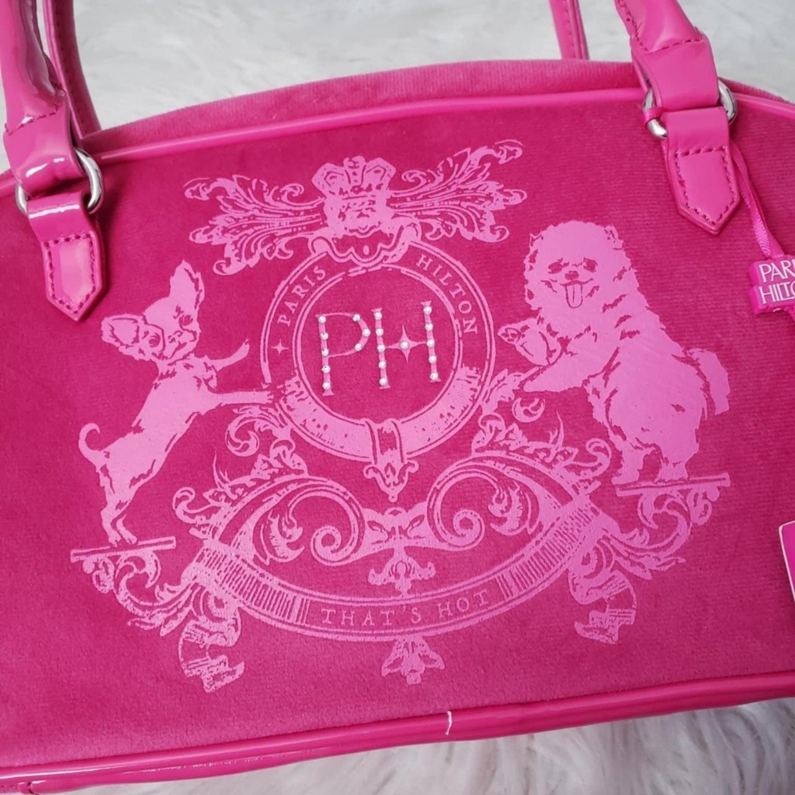 Paris Hilton Purse